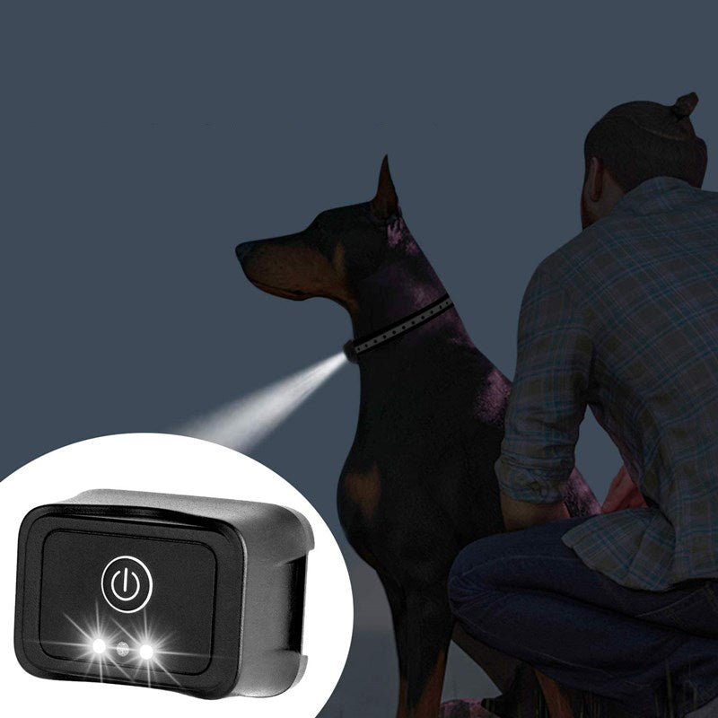Avinora Dog Training Shock Collar with a light projector attached, illuminating the dog in the dark.