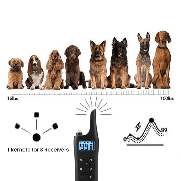Avinora Dog Training Shock Collar remote with size chart for dogs on a white background