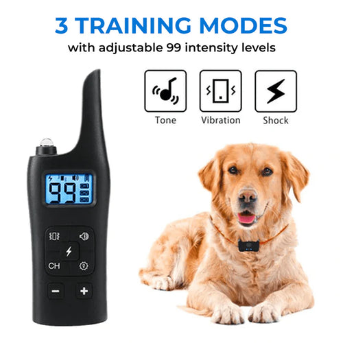 Avinora Dog Training Shock Collar with adjustable intensity levels next to a dog on a white background