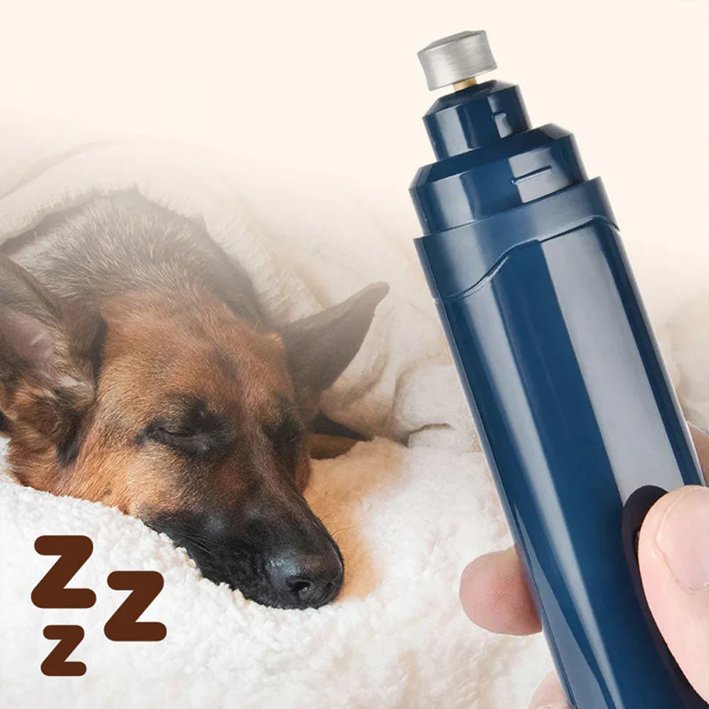 Dog sleeping with a Avinora Pet Nail Grinde device and 'Z' symbols on a soft surface