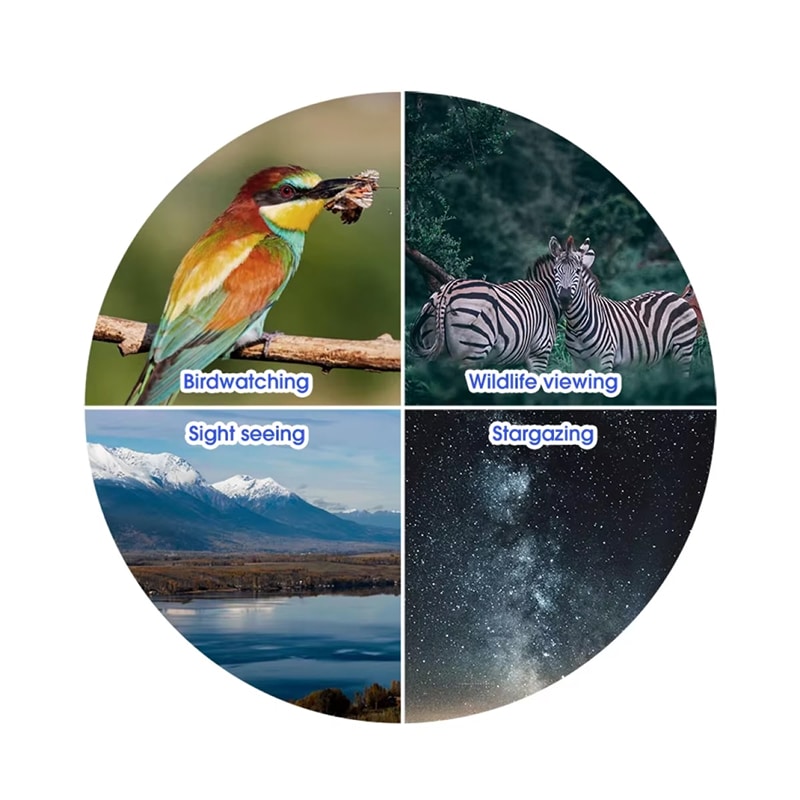 Four circular images showcasing birdwatching, wildlife viewing, sightseeing, and stargazing with corresponding labels.