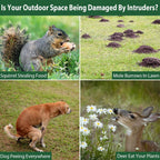 Collage of animals causing damage in outdoor spaces with text labels.