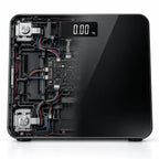 Hilio Body Digital Scale 3d 