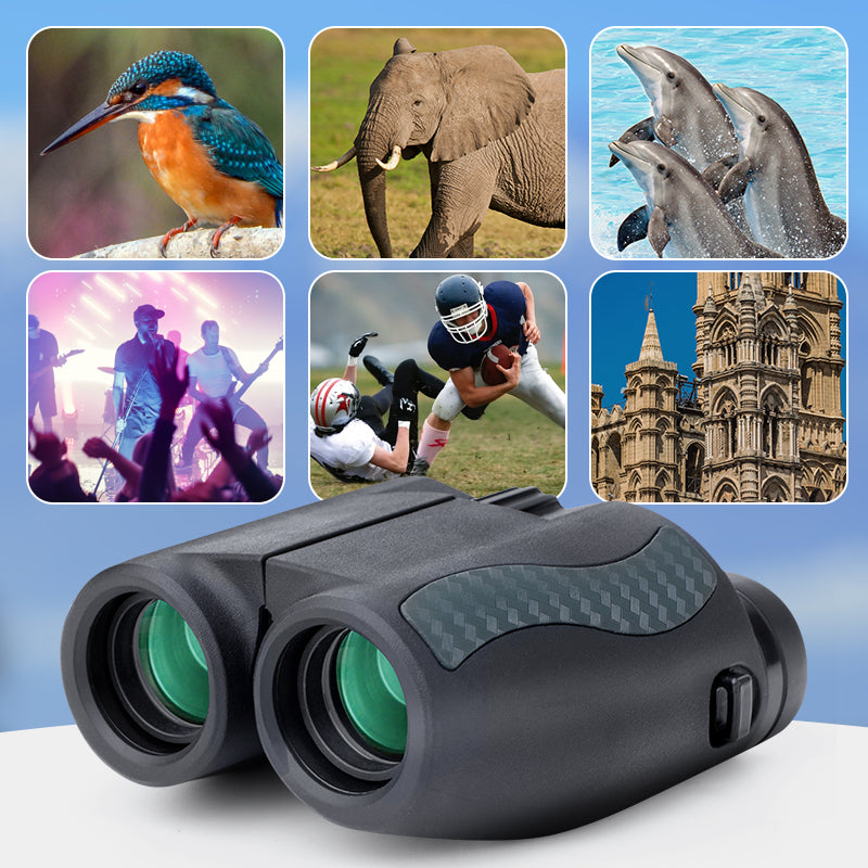 Kaisio Scout P1 10x25 Binoculars folded compact view