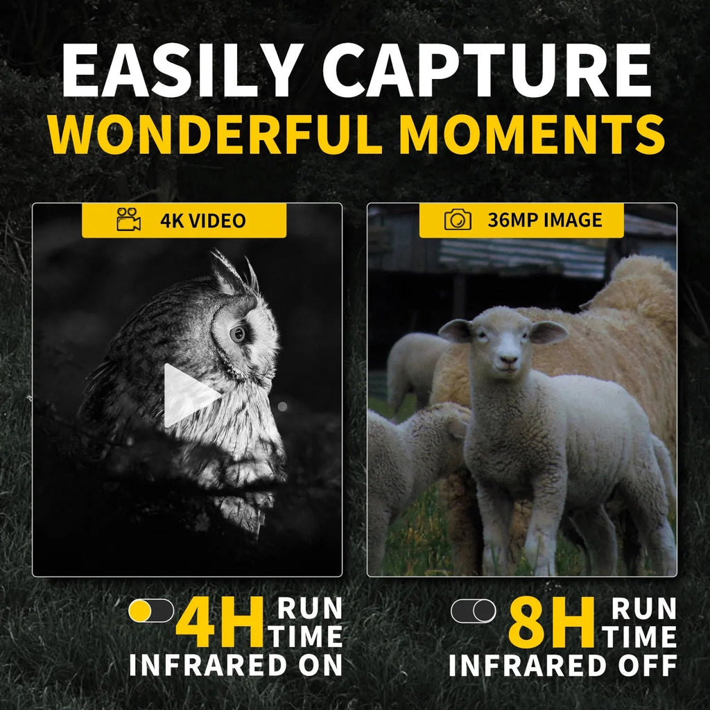 Advertisement showcasing 4K video and 36MP image capabilities with an owl and sheep, and infrared runtime information.