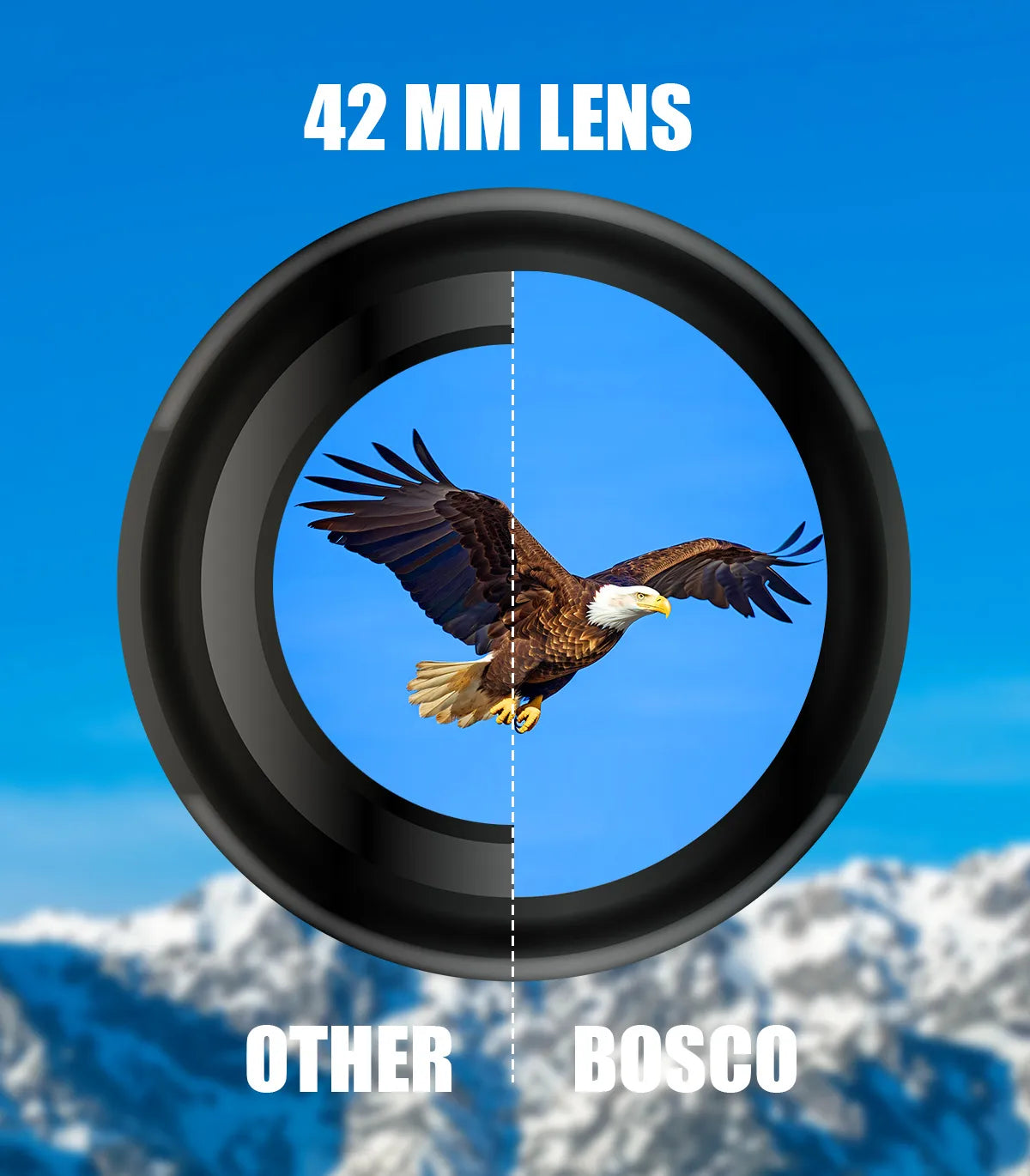 42 mm lens comparison with an eagle and mountainous landscape Nodea Orizon Binoculars