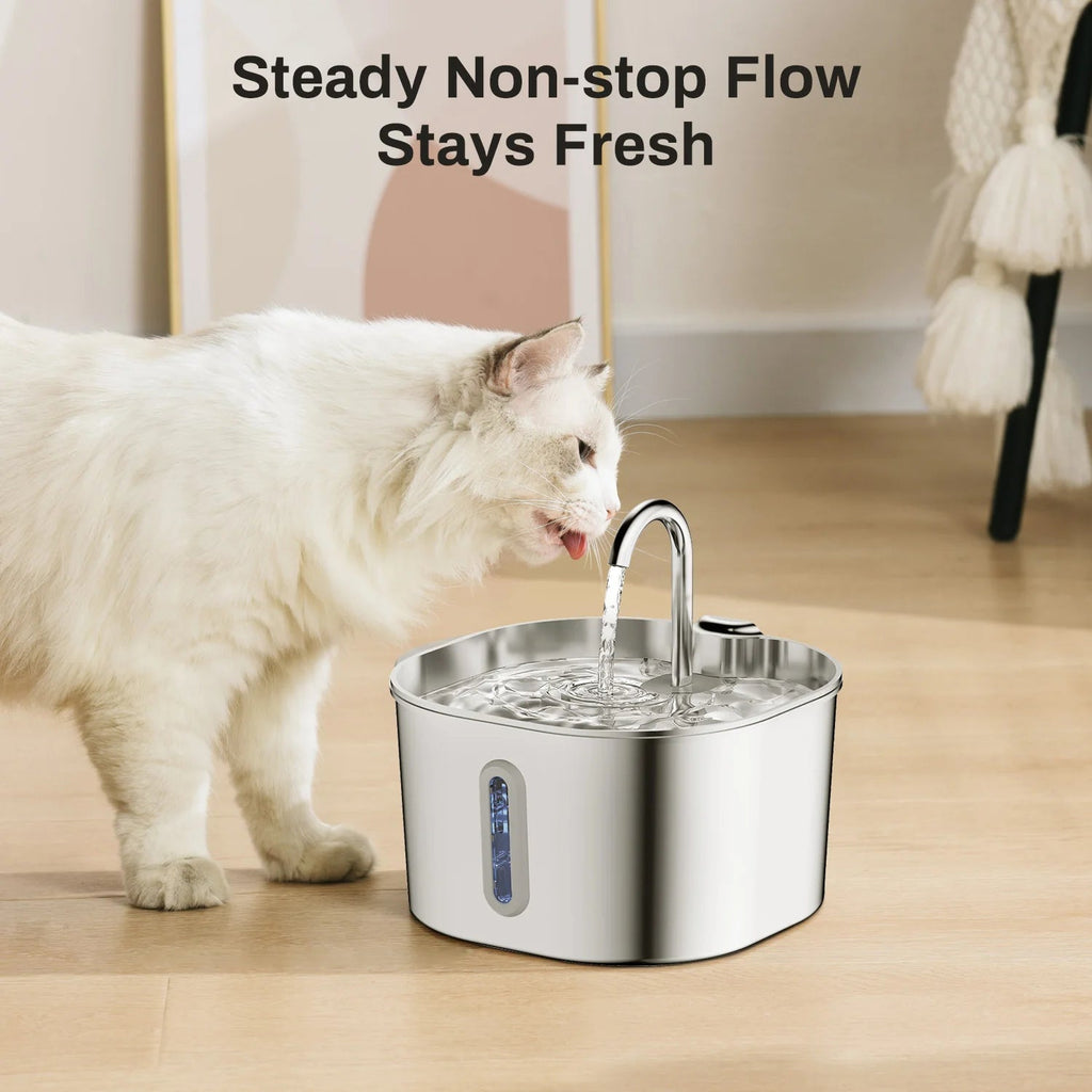 Cat drinking from a stainless steel PurrFlowy Cat Fountain with text 'Steady Non-stop Flow Stays Fresh'.