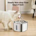Cat drinking from a stainless steel PurrFlowy Cat Fountain with text 'Steady Non-stop Flow Stays Fresh'.