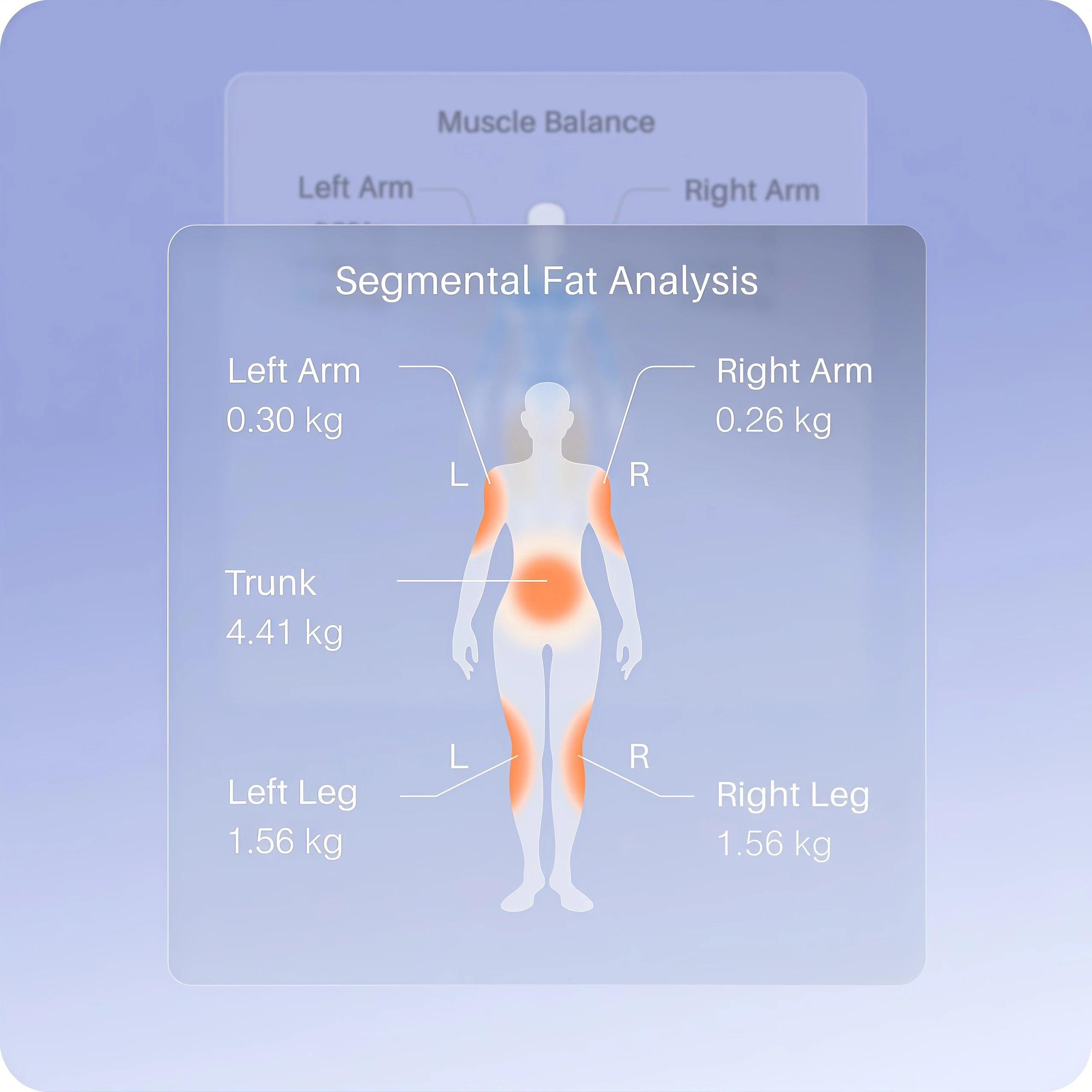 Vakoda FitScan locate weak points