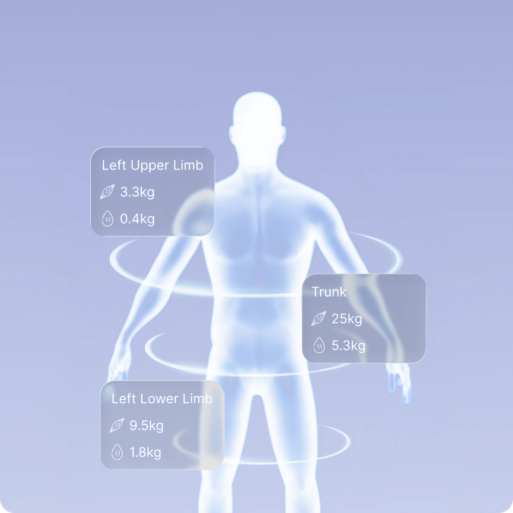 Vakoda FitScan all stats on display