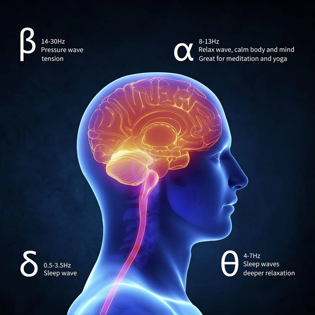 Neurological diagram of a human head with brain highlighted, showing different brainwave frequencies.