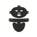 Fenzora LED Face Mask main product view