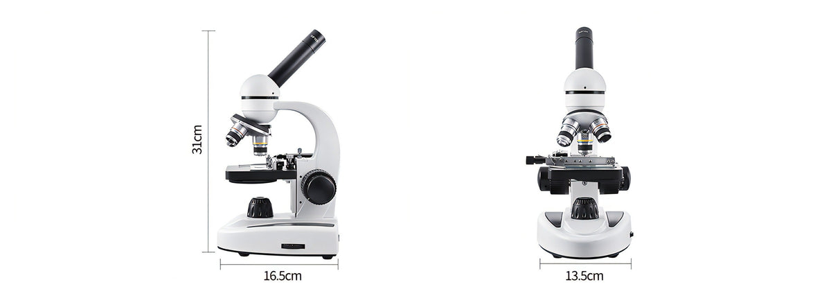 Fenzora Microscope product dimensions