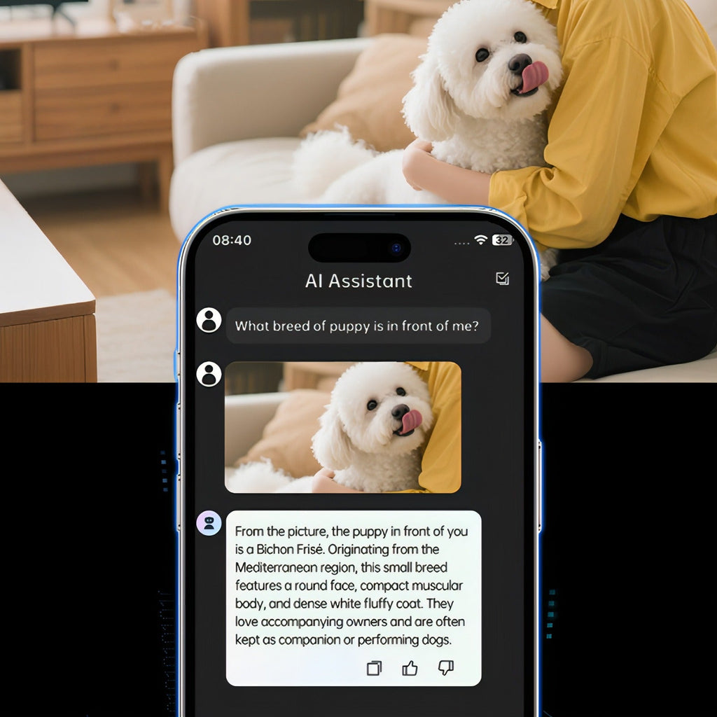 Fenzora Smart Glasses real-time multilingual translation