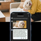 Fenzora Smart Glasses real-time multilingual translation