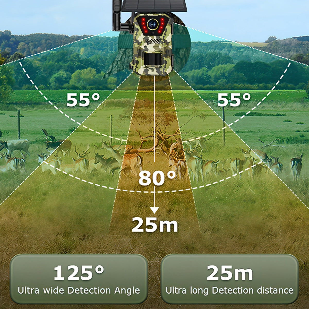 Fenzora Wildlife Camera 14MP high-resolution capture