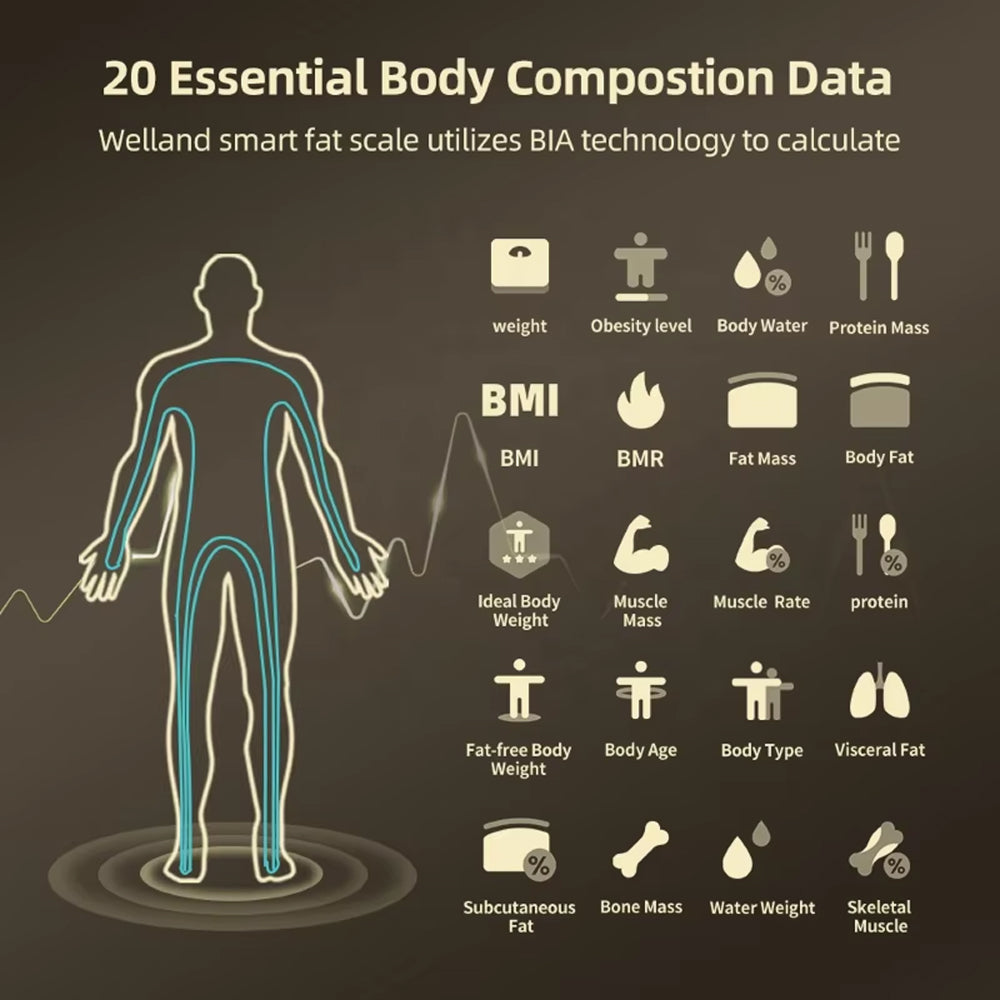 MetriNexus Smart Body Composition Scale companion app tracking
