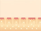 Noventrixa IPL Hair Removal AS20 maintenance treatment schedule