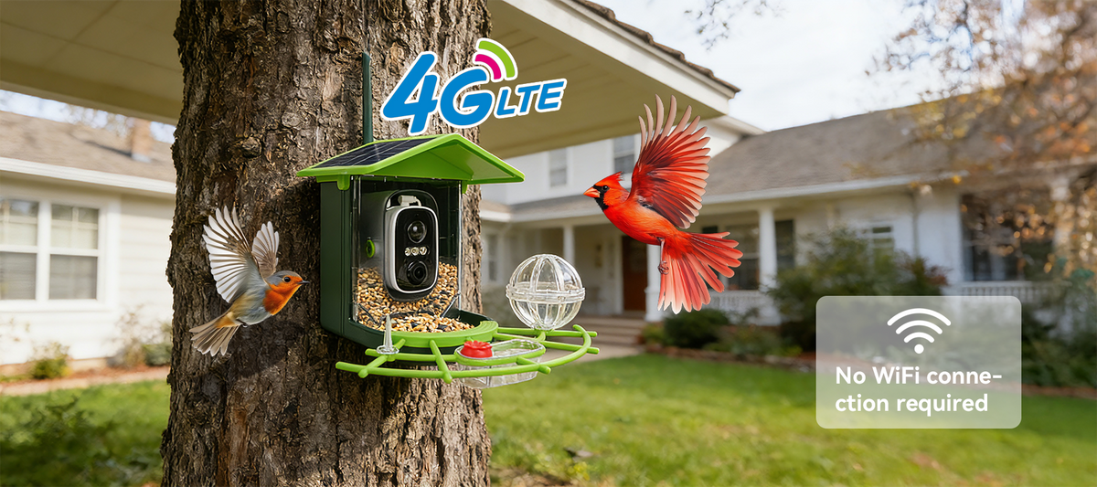 Revora Bird Feeder Camera 4G live streaming without Wi-Fi