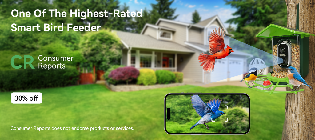Revora Bird Feeder Camera features overview