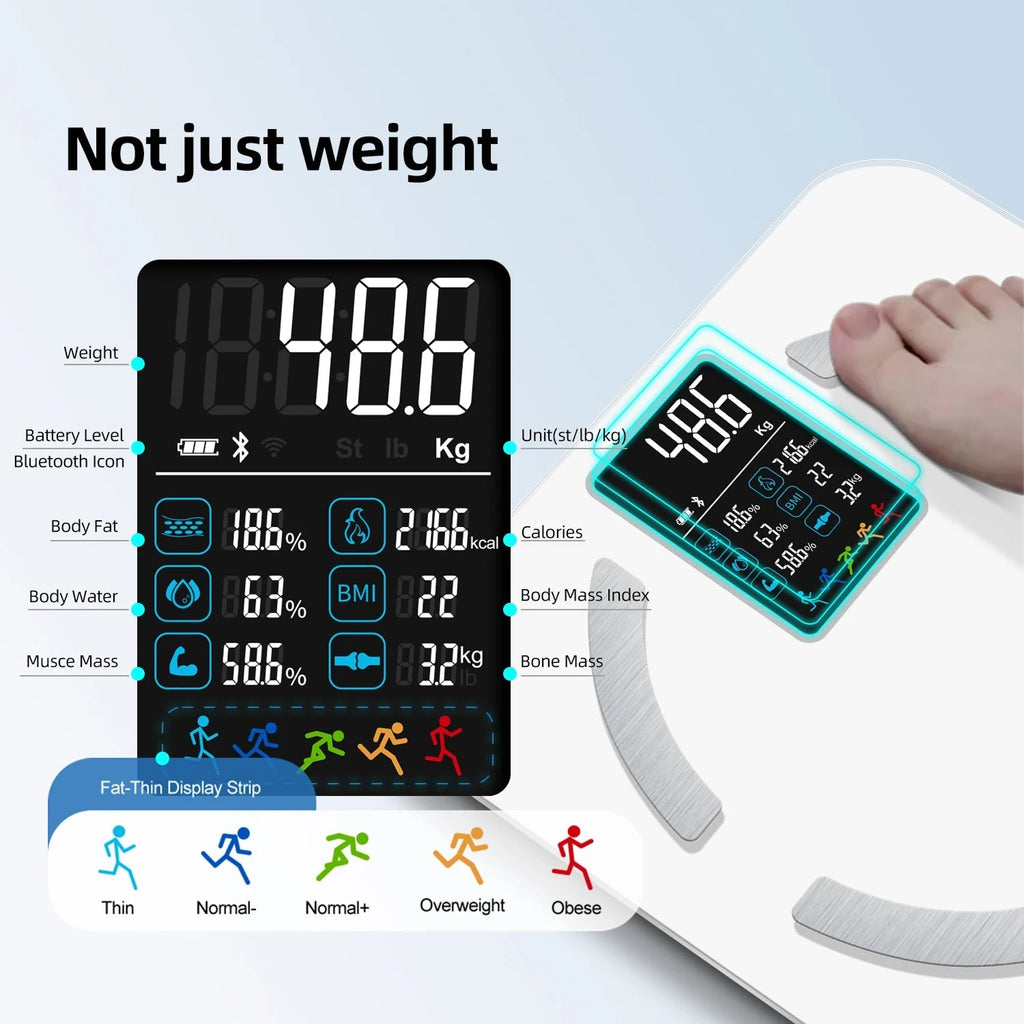 ScaloVox Body Composition Scale feature view