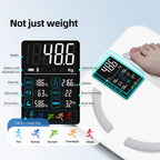 ScaloVox Body Composition Scale feature view