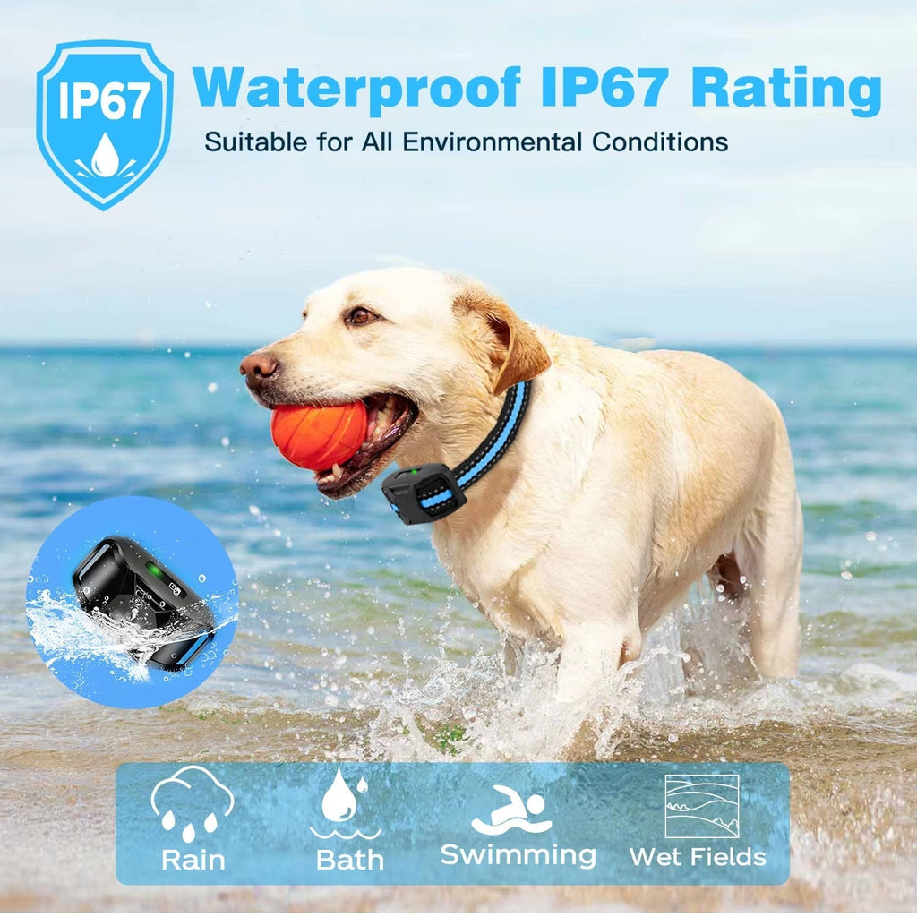 TrainyPaw Dog Training Collar key features overview