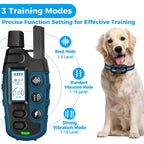 TrainyPaw Dog Training Collar fitted on a dog
